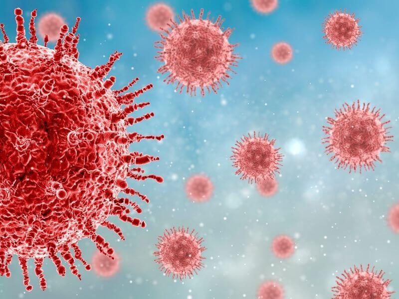 Forholdsregler coronavirus fra og med torsdag d. 21. april 2022